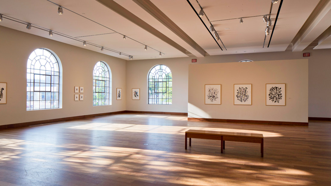 MacLaren Art Centre The Art of Giving GI Stories